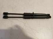 Gasdruckfedern Set Hinten 7955121 BMW 5 serie Touring (G31) Kombi 530i 2.0 TwinPower Turbo 16V Mild Hybrid (B48-B20B) 2020-11