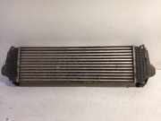 Ladeluftk?hler Radiator Iveco New Daily IV Chassis-Cabine 35C14G, C14GD, C14GV/P, S14G, S14G/P, S14GD (F1CE0441A) 2012