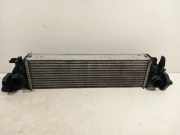 Ladeluftkühler 31338306 Volvo V60 II (ZW) Kombi 2.0 D4 Polestar 16V (D4204T14P) 2019-09