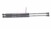 Gasdruckfeder 00518416340 Fiat Panda/Pandina (312) Schrägheck 0.9 TwinAir 60 (312.A.6000) 2014-10