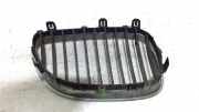 Grill Gitter Links 51137065701 BMW 5 serie (E60) Limousine 530d 24V (M57N-D30(306D2)) 2004-04