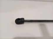 Gasdruckfeder 3g0823359b01s Volkswagen Passat Variant (3G5) Kombi 2.0 R 16V 4Motion (DNFE) 2021-04 DNFE