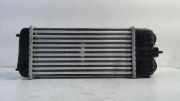 Ladeluftkühler Radiator Peugeot 207/207+ (WA/WC/WM) Schrägheck 1.6 16V VTi (EP6(5FW)) 2009