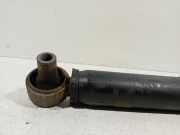 Stoßdämpfer Links Hinten Mercedes-Benz V (447.8) Großraumlimousine 2.0 300d 16V 4-Matic (OM654.920) 2019-10