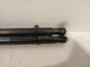 Gasdruckfedern Set Hinten Volkswagen Golf VIII (CD1) Schrägheck 1.5 eTSI 16V (DFYA) 2021 DFYA