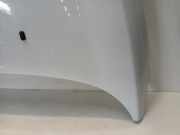 Motorhaube Ford Fiesta 6 (JA8) Schrägheck 1.6 16V Sport (RVJA) 2011-06