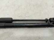 Gasdruckfedern Set Hinten 51237348853 BMW 2 serie Gran Tourer (F46) Großraumlimousine 216d 1.5 TwinPower Turbo 12V (B37-C15A) 2015