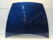 Motorhaube Tesla Model Y (5YJY) SUV Long Range 75kWh (A0003K87Long Range 75kWh) 2025-06
