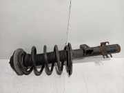 Federbein Links Vorne Volkswagen Multivan T5 (7E/7HC/7HF/7HM) Großraumlimousine 2.5 TDi (BNZ) 2007 BNZ