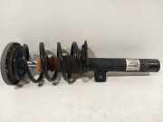 Federbein Links Vorne 31316796315 BMW X3 (F25) SUV xDrive28i 3.0 24V (N52-B30B) 2011-08