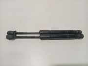 Gasdruckfeder Set Vorne 7239233 BMW 3 serie Touring (F31) Kombi 316i 1.6 16V (N13-B16A) 2014-04