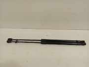 Gasdruckfedern Set Hinten 1415220420n Volkswagen Golf VI Variant (AJ5/1KA) Kombi 1.6 TDI 16V 105 (CAYC(Euro 5)) 2011 CAYC(Euro 5)