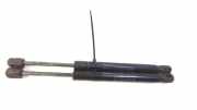 Gasdruckfedern Set Hinten 30779837 Volvo S80 (AR/AS) Limousine 2.0 D3 20V (D5204T7) 2013