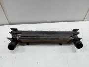 Ladeluftkühler Radiator 1751760053004 BMW 1 serie (F20) Schrägheck 5-drs 116i 1.6 16V (N13-B16A) 2011