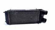 Ladeluftkühler Radiator 9651184880 Peugeot 207/207+ (WA/WC/WM) Schrägheck 1.6 HDi 16V (DV6ATED4(9HX)) 2008-12