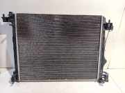 Radiator 214108607r Renault Megane IV (RFBB) Schrägheck 5-drs 1.6 GT Energy TCe 205 EDC (M5M-450(M5M-B4)) 2016