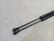 Gasdruckfedern Set Hinten 518416340 Fiat Panda/Pandina (312) Schrägheck 1.2 69 (169.A.4000) 2014