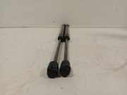 Gasdruckfedern Set Hinten 81781G5000 Kia Niro I (DE) SUV 1.6 GDI Hybrid (G4LE) 2019-03