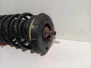 Federbein Links Vorne Citroën C3 Picasso (SH) Großraumlimousine 1.6 16V VTI 120 (EP6(5FW)) 2010-10