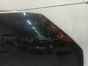 Motorhaube Volkswagen Polo V (6R) Schrägheck 1.2 TDI 12V BlueMotion (CFWA(Euro 5)) 2012-05 CFWA(Euro 5)