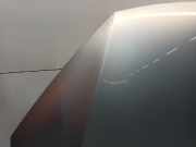 Motorhaube Volkswagen Passat Variant (365) Kombi 1.6 TDI 16V Bluemotion (CAYC(Euro 5)) 2011-04 CAYC(Euro 5)