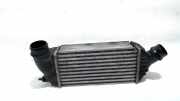 Ladeluftkühler Radiator Citroën Jumpy (G9) Van 2.0 HDiF 16V 125 (DW10CD(AHZ)) 2014