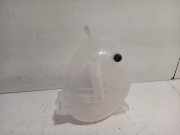 Kühlmittelbehälter GN118A080AA Ford Puma SUV 1.0 Ti-VCT EcoBoost mHEV 12V (B7JB) 2024