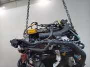 Motor H4D450 Renault Clio V (RJAB) Schrägheck 5-drs 1.0 TCe 100 12V (H4D-450) 2019