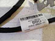 Kabelbaum P1TT14B323BBA Ford Puma SUV 1.0 Ti-VCT EcoBoost mHEV 12V (B7JB) 2024