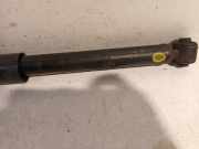 Stoßdämpfer Links Hinten Kia Picanto (TA) Schrägheck 1.0 12V (G3LA) 2013-04