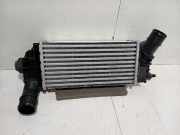 Ladeluftkühler Radiator L1BG6D624AB Ford Puma SUV 1.0 Ti-VCT EcoBoost mHEV 12V (B7JB) 2024