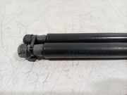 Gasdruckfeder Set Vorne 654704597R Renault Scénic IV (RFAJ) Großraumlimousine 1.2 TCE 130 16V (H5F-408(H5F-F4)) 2017-06