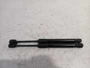 Gasdruckfeder Set Vorne 7210727 BMW X3 (F25) SUV xDrive20d 16V (N47-D20C) 2012