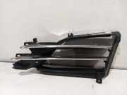 Grill Gitter Links 105785100I Tesla Model S Liftback 100D AWD (L2S) 2017-10