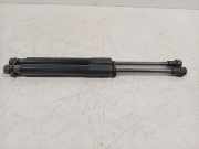 Gasdruckfeder Set Vorne 654704597R Renault Scénic IV (RFAJ) Großraumlimousine 1.2 TCE 130 16V (H5F-408(H5F-F4)) 2017-06