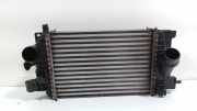 Ladeluftkühler Radiator R3445005 Opel Meriva Großraumlimousine 1.4 Turbo 16V Ecotec (A14NET(Euro 5)) 2010