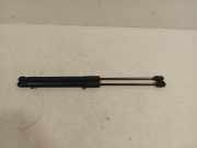 Gasdruckfeder Set Vorne 80A823359A Audi Q5 (FYB/FYG) SUV 2.0 40 TDI 16V Quattro (DESA) 2018