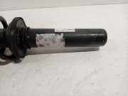 Federbein Rechts Vorne 80A413031S Audi Q5 (FYB/FYG) SUV 2.0 35 TDI Mild hybrid 16V (DEZE) 2019