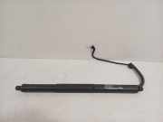 Gasdruckfeder Rechts Hinten 18202210 BMW X5 (F15) SUV xDrive 35d 3.0 24V (N57-D30A) 2014-03