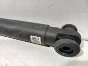 Gasdruckfeder Links Hinten 7467202 BMW X7 SUV xDrive M50i 4.4 V8 32V (N63-B44D) 2019-11