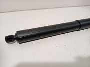 Gasdruckfeder Rechts Hinten lv4bs402a54af Ford Kuga III (DFK) SUV 2.5 PHEV 16V (BGDA) 2023-07