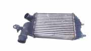 Ladeluftkühler Radiator Fiat Ducato (243/244/245) Van 2.3 JTD 16V (F1AE0481C) 2005-01