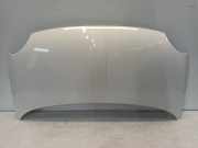 Motorhaube Fiat 500 (312) Schrägheck 1.2 (169.A.4000(Euro 5)) 2008-06