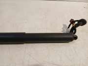 Gasdruckfeder Links Hinten 80A827851A Audi SQ5 (FYB/FYG) SUV 3.0 TFSI V6 24V (CWGD) 2018-10