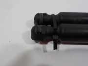 Gasdruckfedern Set Hinten 904502915R Renault Zoé (AG) Schrägheck 5-drs 65kW (5AM-450(5AM-B4)) 2013