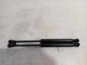 Gasdruckfedern Set Hinten 519979480 Fiat 500C (312) Cabrio 0.9 TwinAir 85 (312.A.2000(Euro 5)) 2017