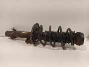 Federbein Links Vorne 6R0413031C Volkswagen Polo V (6R) Schrägheck 1.4 16V (CGGB(Euro 5)) 2010 CGGB(Euro 5)