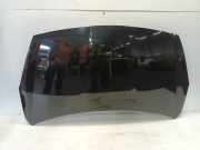 Motorhaube Hyundai i20 Schrägheck 1.2i 16V (G4LA) 2009-08