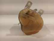 Kühlmittelbehälter Fiat Punto Evo (199) Schrägheck 1.3 JTD Multijet 85 16V (199.B.4000(Euro 5)) 2010-11