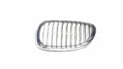 Grill Gitter Links 7027085 BMW 5 serie (E60) Limousine 530d 24V (M57N2-D30(306D3)) 2006-01